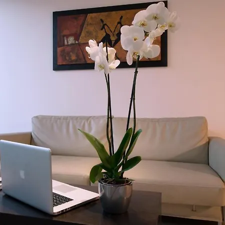 Garden Ξενοδοχείο Λατίνα